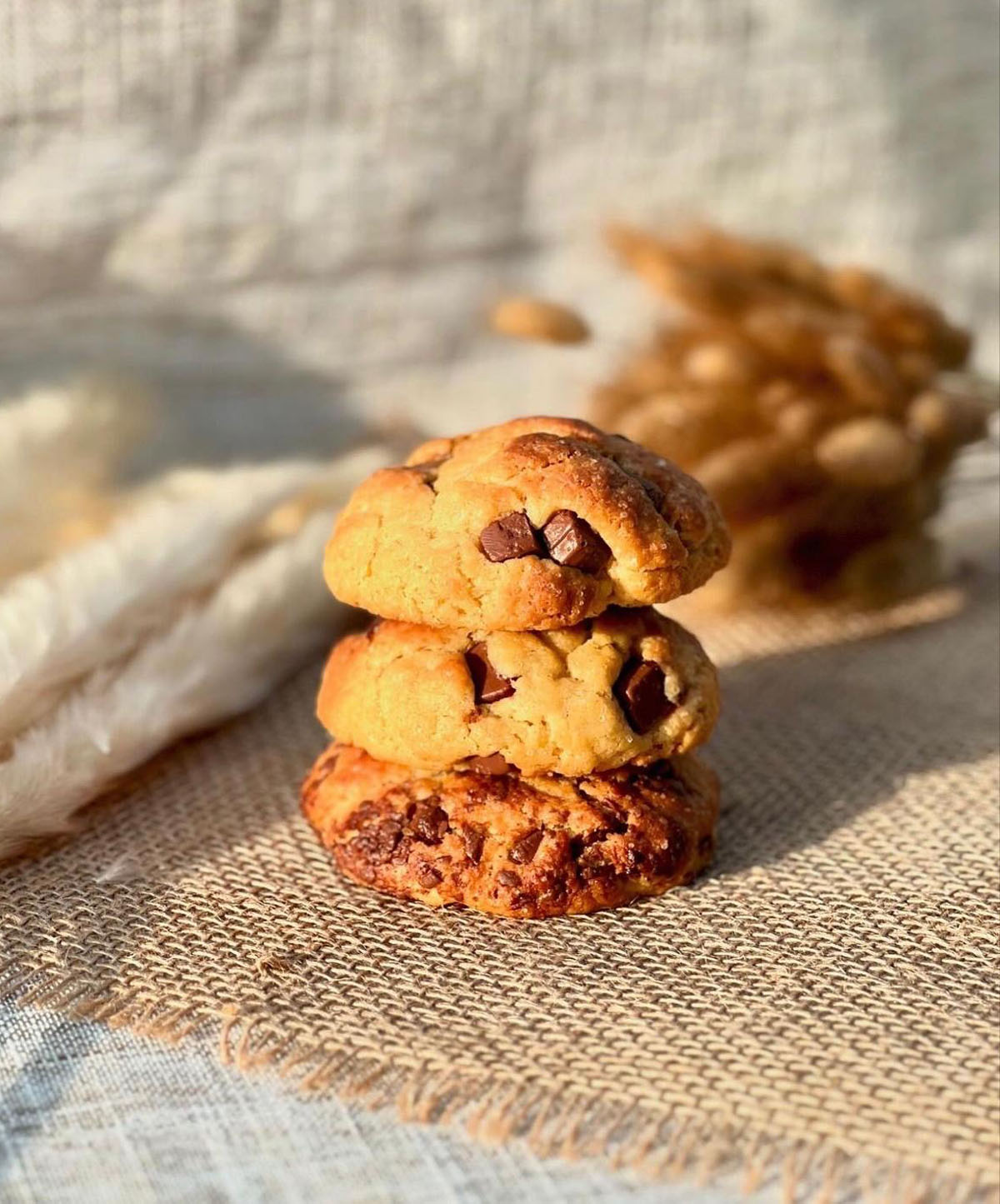 box-cookies-cabaneslandes